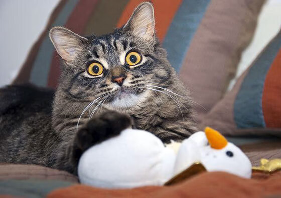 爱游戏中国电竞-《2025英雄联盟全球总决赛，冠军之战燃炸全场》，2020年英雄联盟全球总决赛赛程表