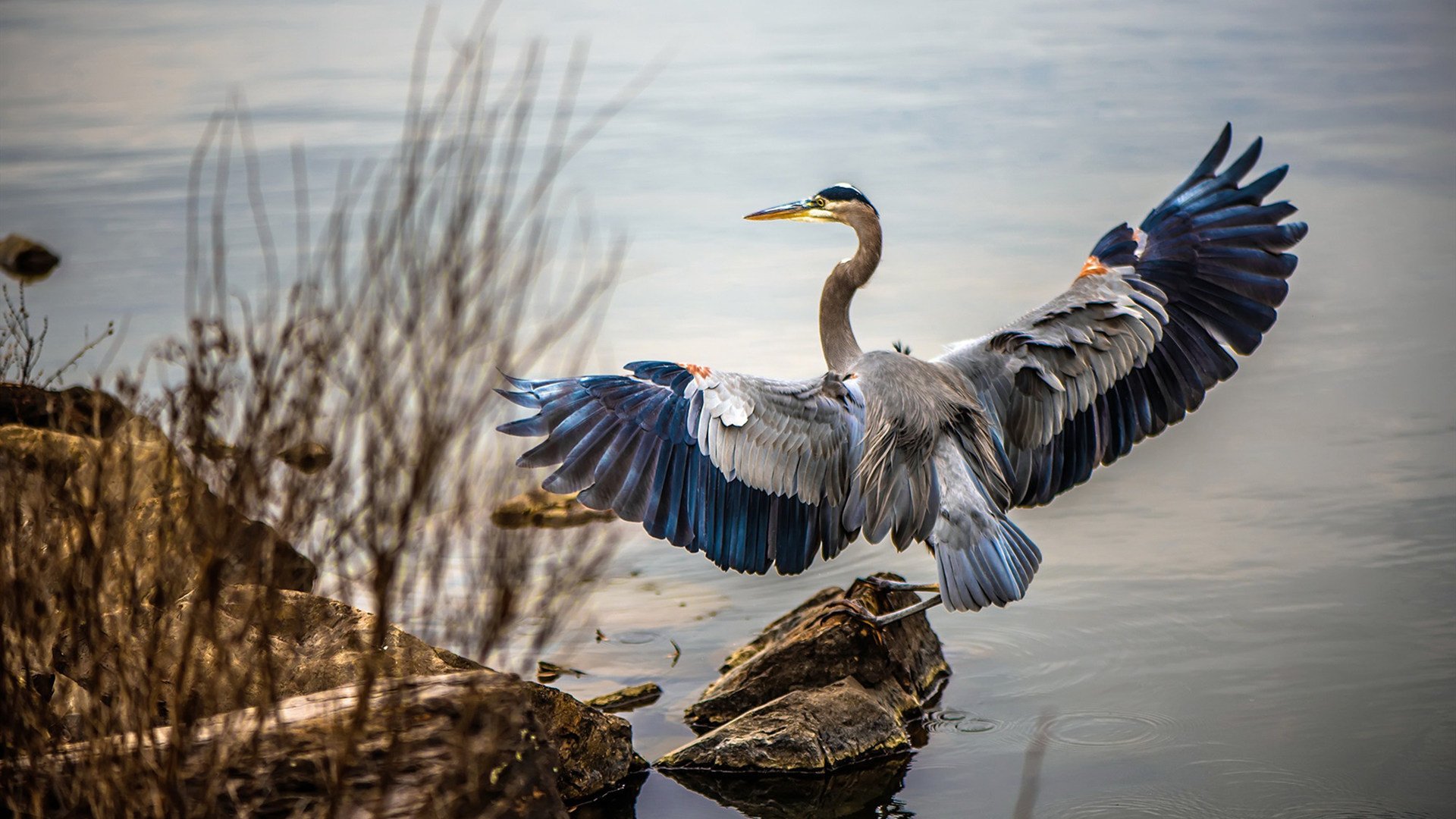 爱游戏体育官网-中国足协成立裁判学院，提升执法水平，足球裁判协会