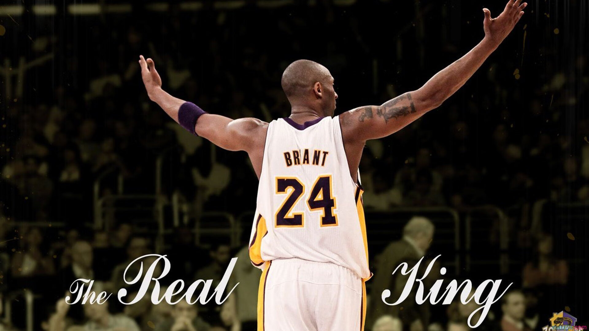 南非羚羊队:配合默契的团队作战,让每个进攻都具有致命威胁,非洲小羚羊